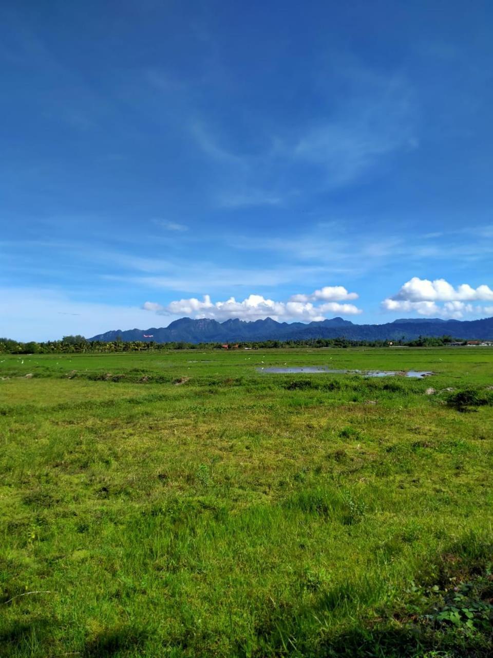 Villa Tempoyak Homestay Пантай-Сенанг Экстерьер фото